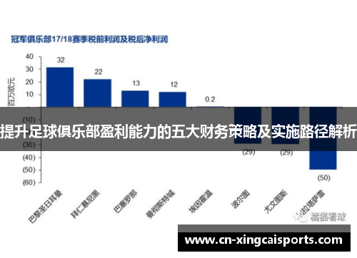 提升足球俱乐部盈利能力的五大财务策略及实施路径解析