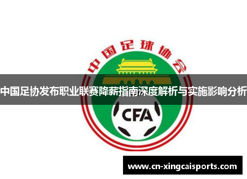 中国足协发布职业联赛降薪指南深度解析与实施影响分析