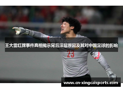 王大雷红牌事件真相揭示背后深层原因及其对中国足球的影响