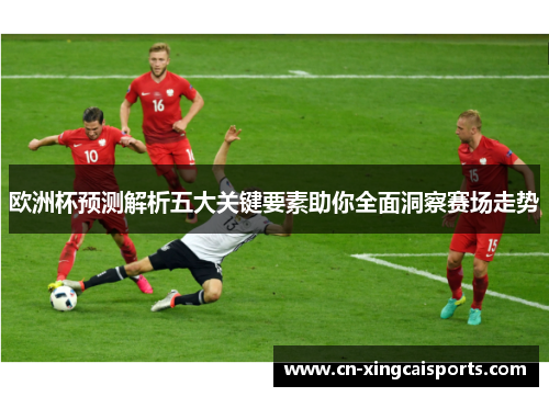 欧洲杯预测解析五大关键要素助你全面洞察赛场走势
